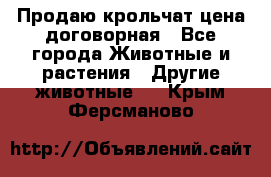 Продаю крольчат цена договорная - Все города Животные и растения » Другие животные   . Крым,Ферсманово